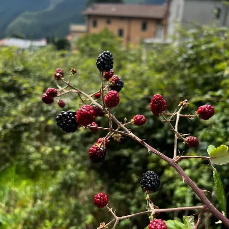 Belvedere Di * Popiglio
